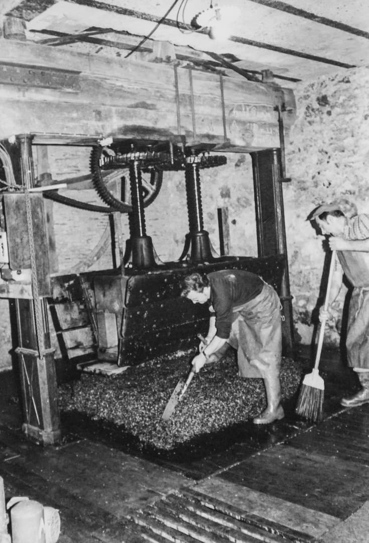 Ancien pressoir traditionnel du domaine
